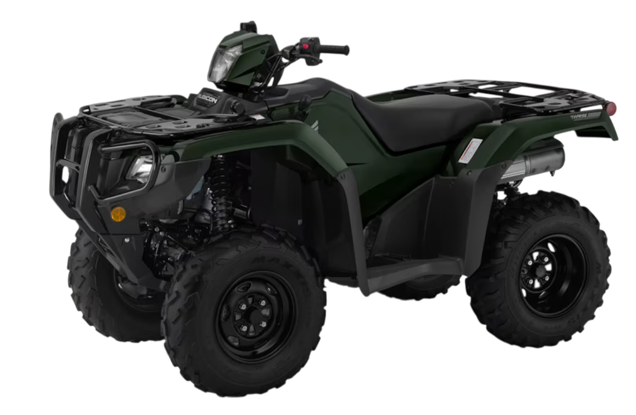 Model Image