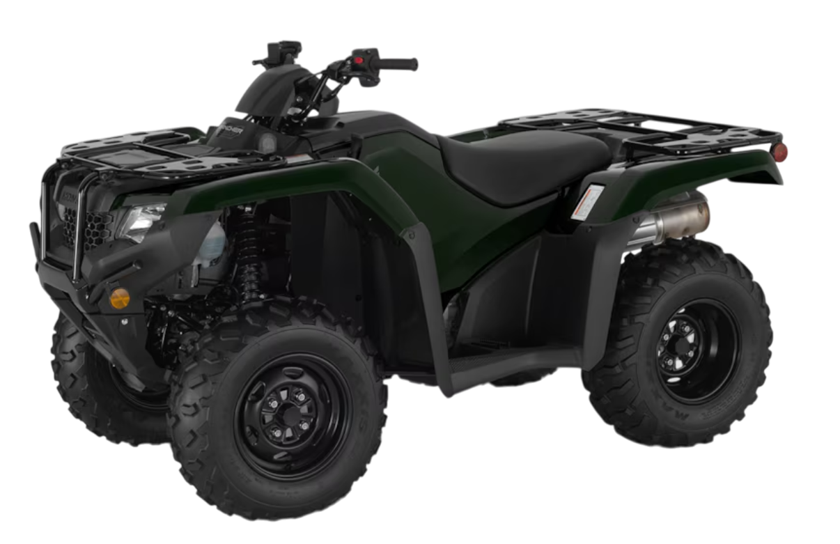 Model Image